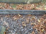 image of grave number 583171